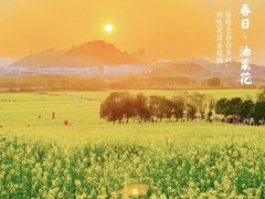 -光明小镇欢乐田园