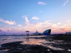 -碧海金沙