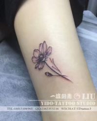 -苏州一渡刺青纹身馆