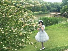 -上海长兴岛郊野公园