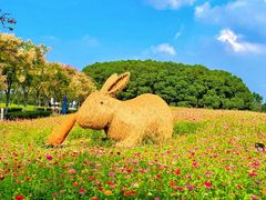 -嘉北郊野公园