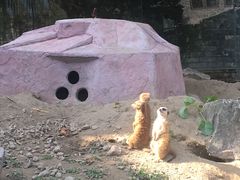 -水绘园