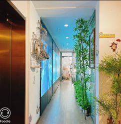 -花样年华视觉摄影(新立基大厦店)