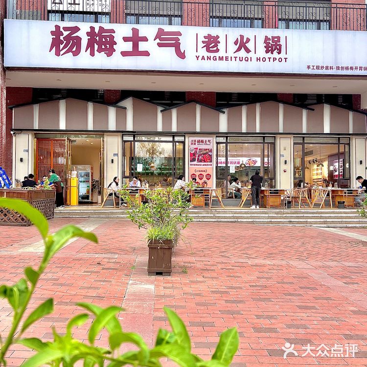 锅底还真有杨梅,不是误入是故意的