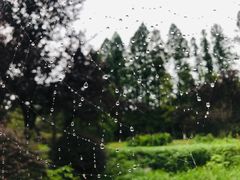 -洪湖悦兮半岛国际温泉度假村