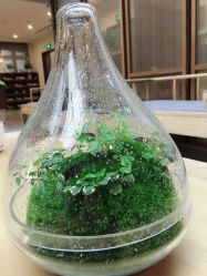 -FineYoga梵音瑜伽·普拉提