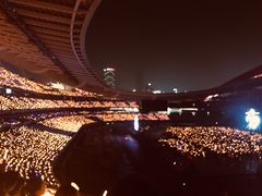 -南京奥林匹克体育中心-体育馆