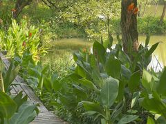 -西溪国家湿地公园