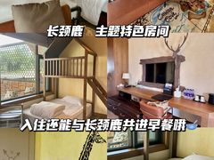 -郑州银基黄帝宫御温泉