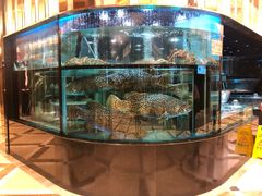 -金翠皇宫粤菜·点心·海鲜(科技园店)