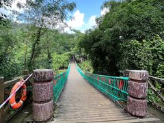 -南宁良凤江国家森林公园