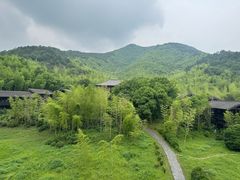 -大唐贡茶院