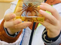 -神奇科学家STEAM科学实验科创赛事机器人编程逻辑思维MadScience(长宁来福士校区)