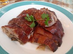 -椿记烧鹅(叠彩店)