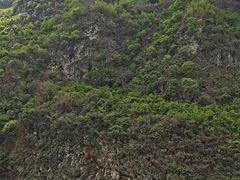 -乌江画廊(彭水苗族土家族自治县)