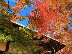 -常寂光寺