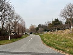 -贡湖湾湿地公园