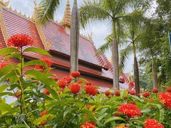 -西双版纳勐泐文化旅游区