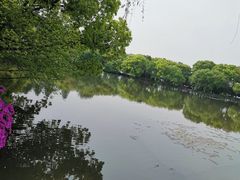 -西湖游船