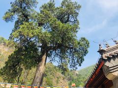 -北京上方山国家森林公园