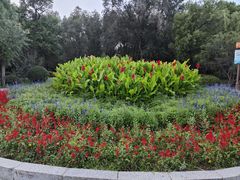 -长春市南湖公园