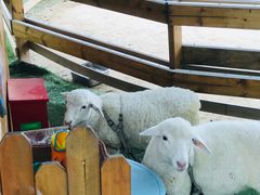 -HERRE·FARM 赫尔露营农场·团建聚会包场