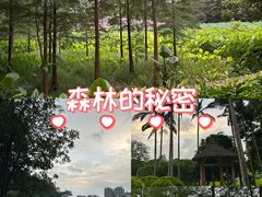 -雀儿山公园