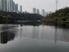 -重庆彩云湖湿地公园