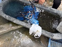 -璞真扎染博物馆