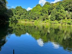 -深圳仙湖植物园