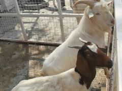 -金庭庄园酒店-停车场