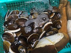 -胖子饺子馆·海鲜家常菜(海军博物馆店)