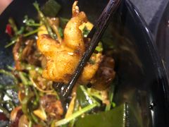 -食乐佳麻辣香锅(森林摩尔商业街区店)