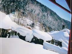 -东北人家铁锅炖(鞍山路店)