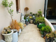 -IFIF 如果花園(宽厚里店)