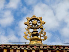 -塔尔寺-菩提树