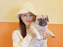 -喜柴咖啡·柴犬狗咖