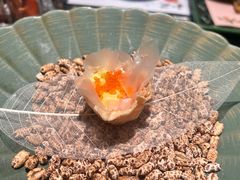 -匠和风精致料理(成都龙湖滨江天街店)