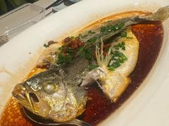 -维园悦谱·海派家常菜(乌鲁木齐南路店)