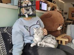 -平行世界·猫咖(首经贸店)