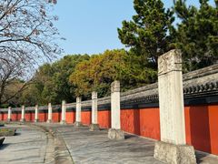 -观潮胜地公园