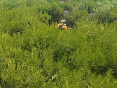 -亲兄弟真人CS团建拓展基地