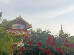 -洛阳白马寺