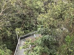 -佛山华盖山公园