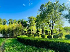 -燕郊植物园