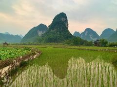 -靖西鹅泉风景区