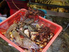 -拉威海鲜市场