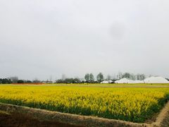 -中国天府农业博览园