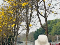 -长洲岛都市农业公园