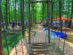 -日照灯塔风景区